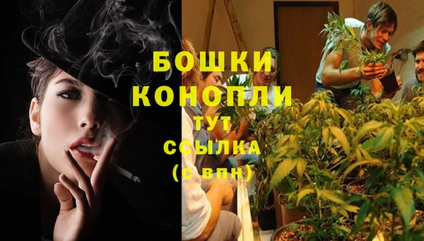стафф Пестово