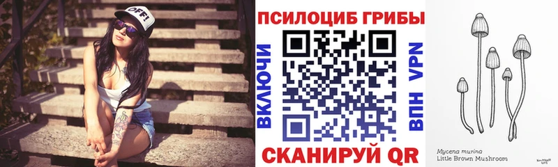 Псилоцибиновые грибы Psilocybe  omg зеркало  это Telegram  Анива 